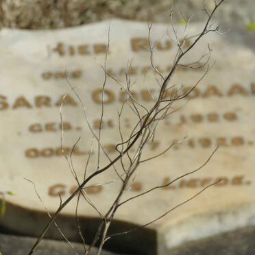 ODENDAAL Sara 1926-1926