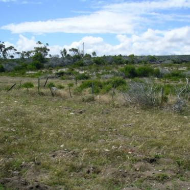1. Overview