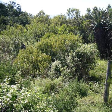 2. Overview on gravesite