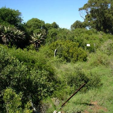 1. Overview on gravesite
