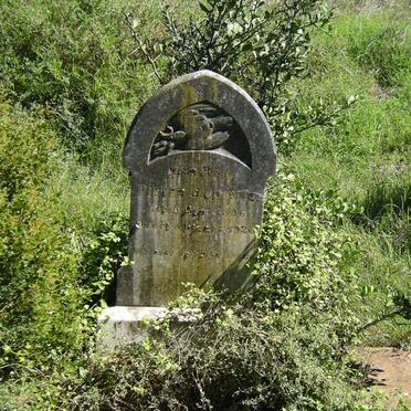 CRONJE Pieter J. 1896-1926