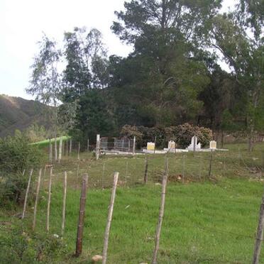 1. Overview