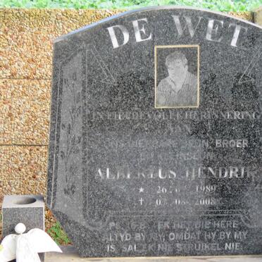 WET Albertus Hendrik, de 1989-2008