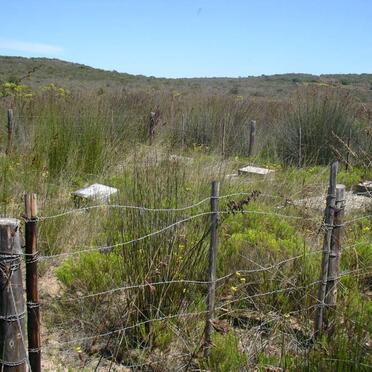 2. Overview