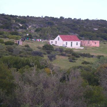 4. Overview