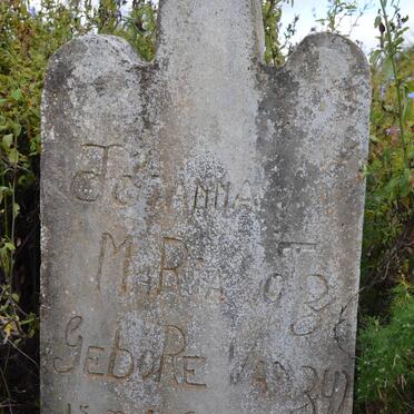 ZYL Johanna Maria, van nee VAN ZYL 1895-