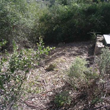 Western Cape, RIVERSDALE district, Honingfontein 375, farm cemetery