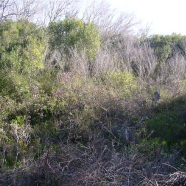 3. Overview of Cemetery