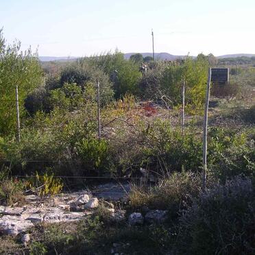 Western Cape, RIVERSDALE district, Melkhoutekraal 416, farm cemetery_1