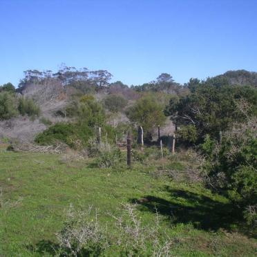 1. Overview
