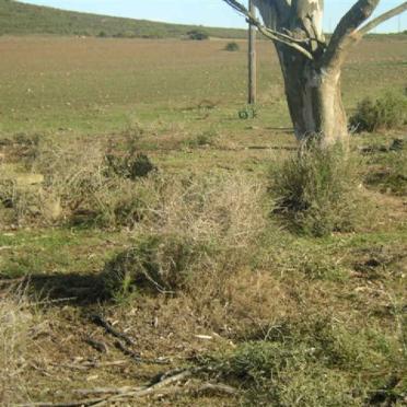 1. View of the burial site at Cooper Siding, Kanon Crossing at the N2