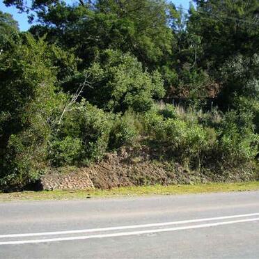 Western Cape, RIVERSDALE district, Riversdale Settlements, farm cemetery_8