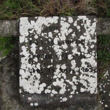 KLEYNHANS C.J.I. 1904-1970