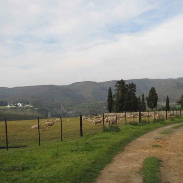 1. Overview