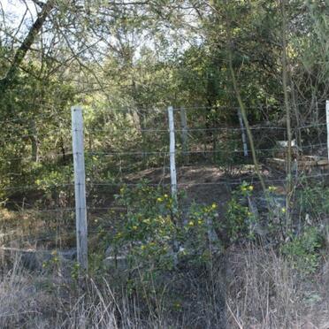 1. Ingang na begraafplaas