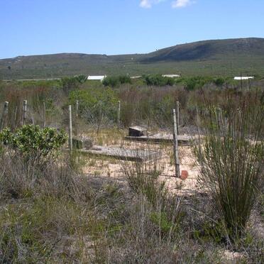 Western Cape, RIVERSDALE district, Albertinia, Buffelsfontein 432, Ryksdalerplaas, farm cemetery_4