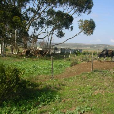 2. Overview