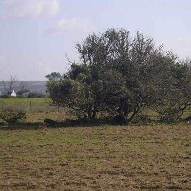 2. Oorsig van graf