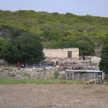 6. Overview