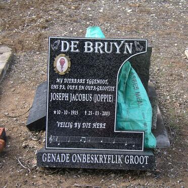 BRUYN Joseph Jacobus, de 1915-2003