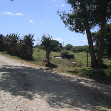 1. Road to the farm Windsor, Riversdale