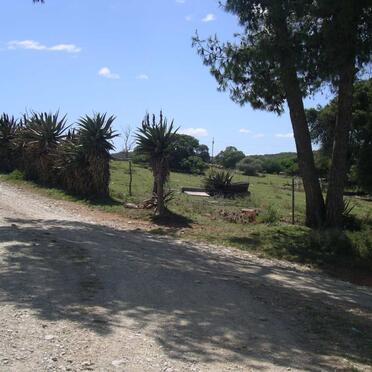 1. Road to the farm Windsor, Riversdale