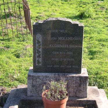 Western Cape, RIVERSDALE district, Riversdale Settlements, farm cemetery_3