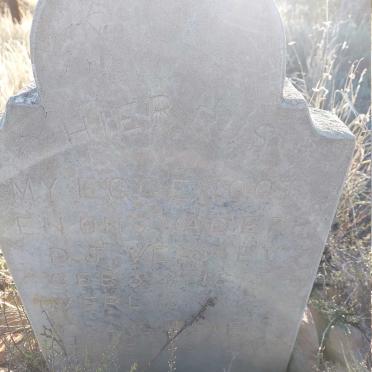 Western Cape, PRINCE ALBERT district, Cyferfontein 115, Knoffelfontein, farm graves