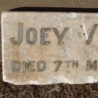 ? Joey
