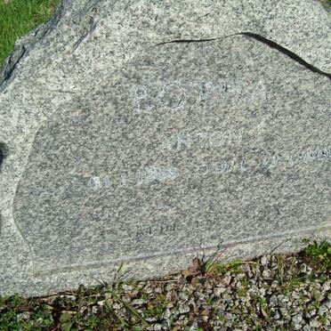 BOTHA Anton 1958-1984