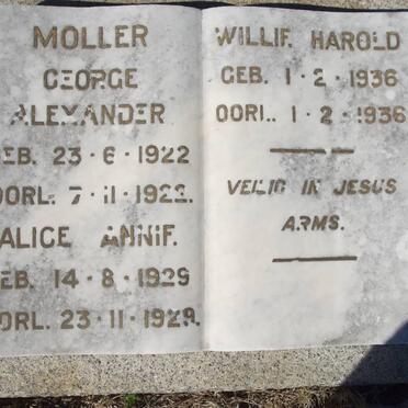 MOLLER George Alexander 1922-1922 :: MOLLER Alice Annie 1929-1929 :: MOLLER Willie Harold 1936-1936