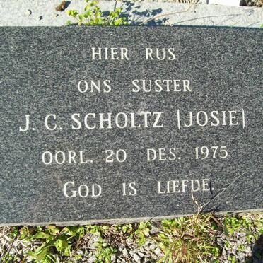 SCHOLTZ J.C. -1975
