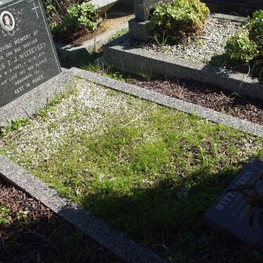 WITTEVEEN Cornelius Josefhus 1920-1996 :: WITTEVEEN Kees F.J. 1953-1975