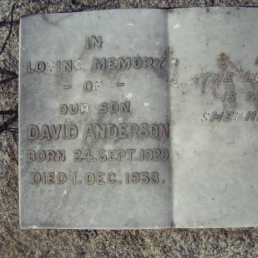 ANDERSON David 1929-1938
