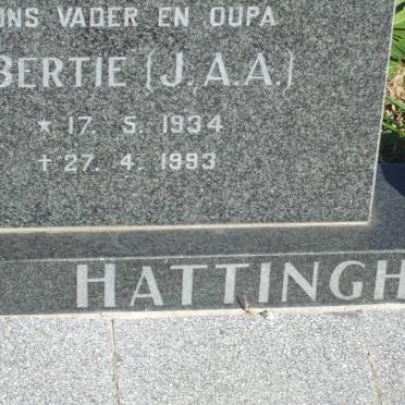 HATTINGH J.A.A. 1934-1993