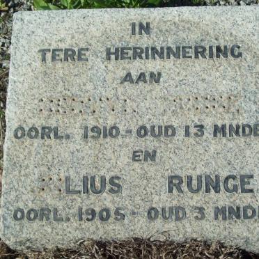 RUNGE Julius 1905 :: RUNGE ? -1910