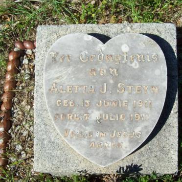 STEYN Aletta J. 1911-1911