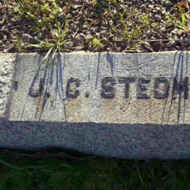 STEDMAN J.C.