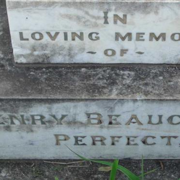 PERFECT Henry Beauchamp