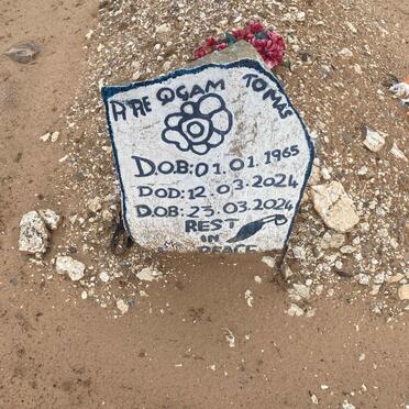 TOMAS Qgam 1965-2024