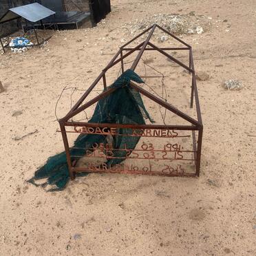 KARNELS Caoage 19?1-2015