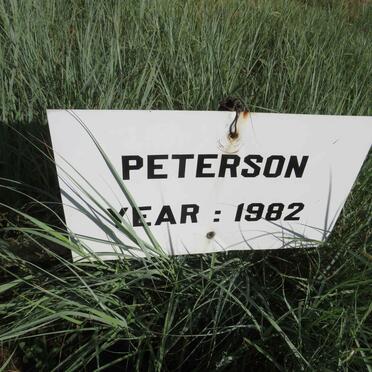 PETERSON -1982