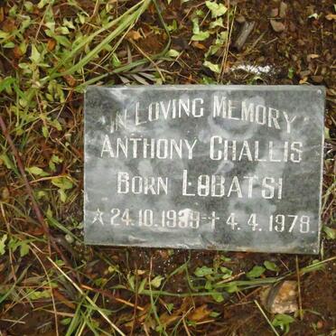 CHALLIS Anthony 1939-1978