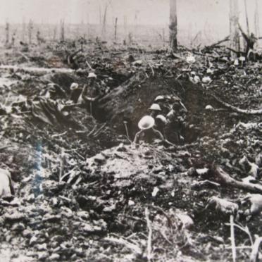 7. View of Delville Wood during the First World War