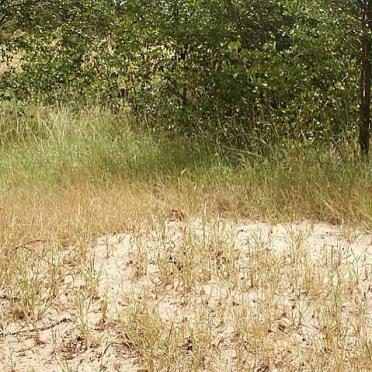 2. Unmarked graves