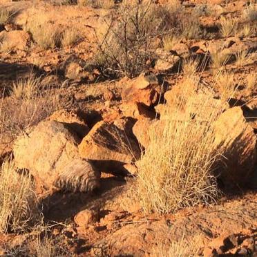 Unknown San grave