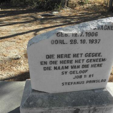 ?AGNE 1906-1937