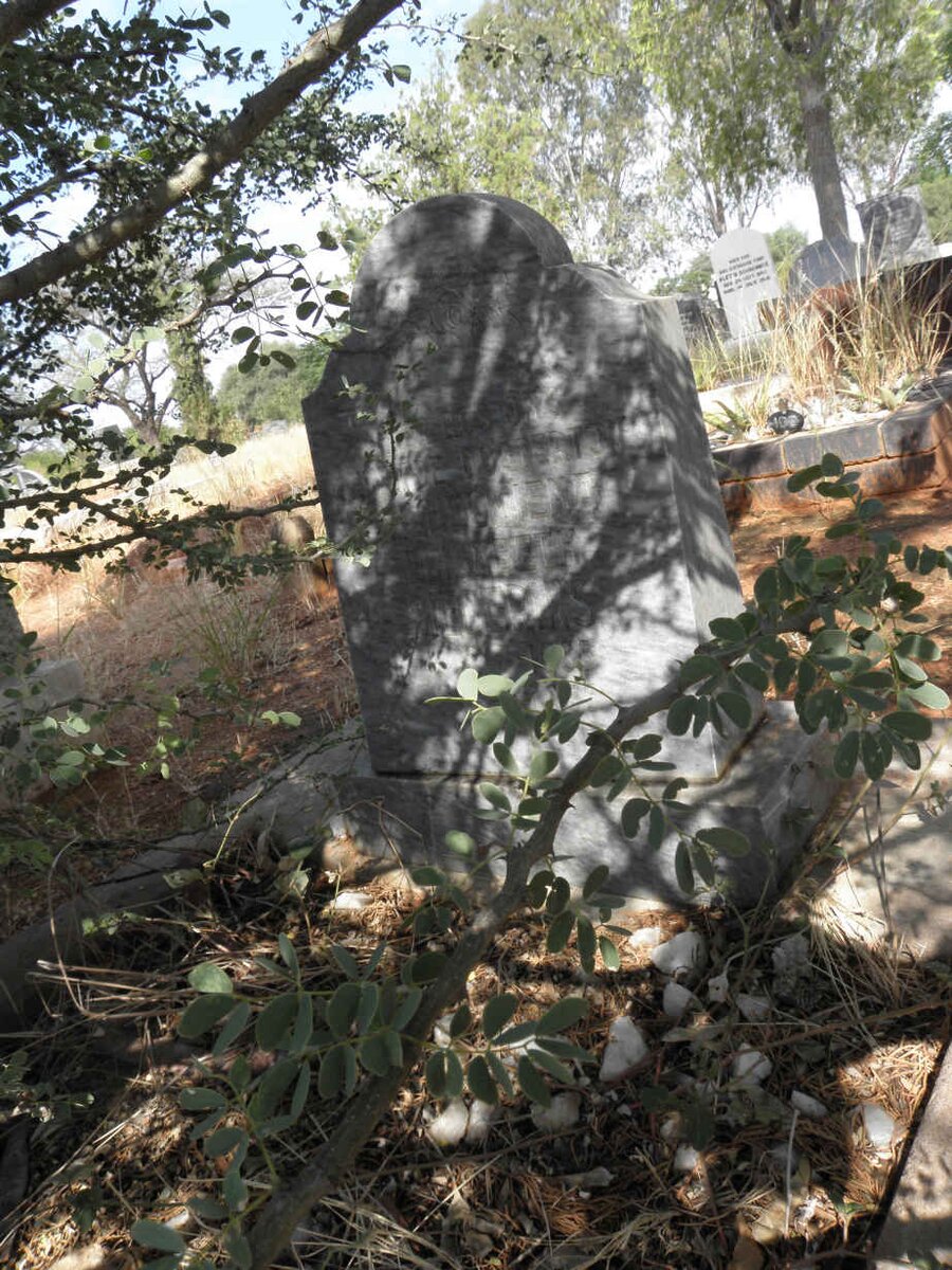 DIEDERIKS Wilhelmina Elizabeth 1955-1955