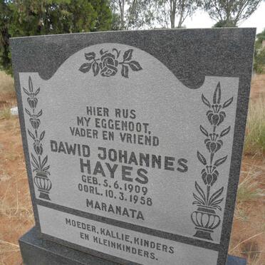 HAYES Dawid Johannes 1909-1958