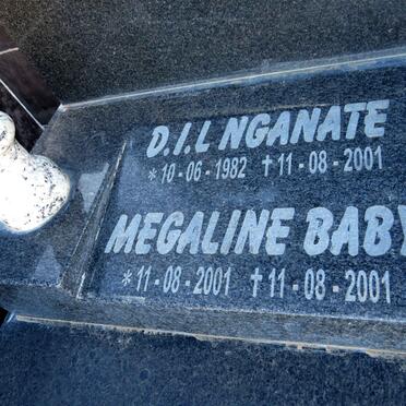 N - Vanne :: Surnames - N